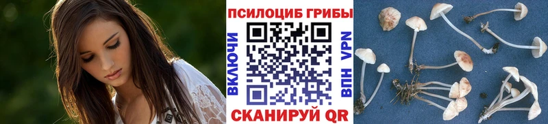 закладка  Тетюши  Псилоцибиновые грибы мицелий 
